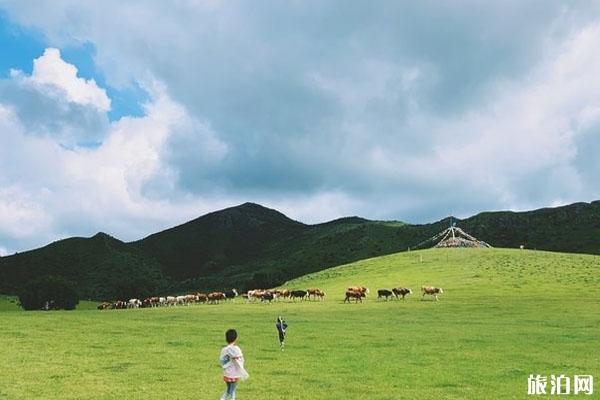 2024扎鲁特山地草原旅游区游玩攻略 - 门票价格 - 地址 - 交通 - 天气 - 电话 - 简介 - 开放时间