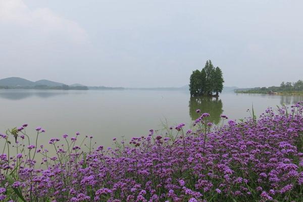 东湖绿道骑行图片 东湖绿道骑行风景图