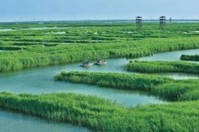 高邮湖芦苇荡湿地公园