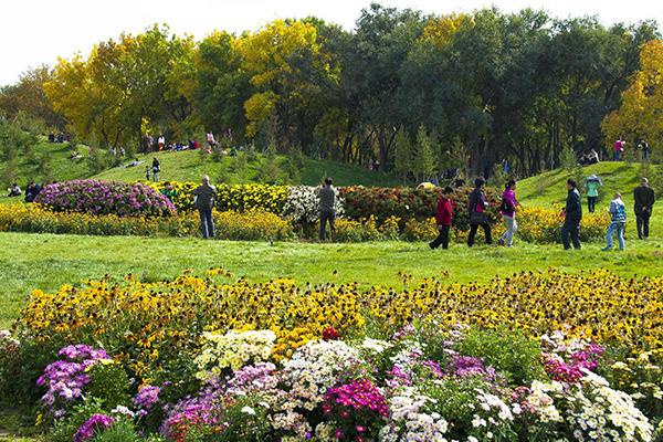 2024熊岳植物园旅游攻略 - 门票 - 交通 - 天气 - 地址 - 电话 - 简介 - 开放时间