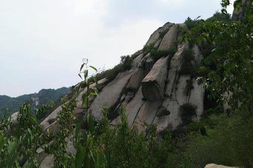 凤凰岭风景区门票价格多少(附游玩攻略)