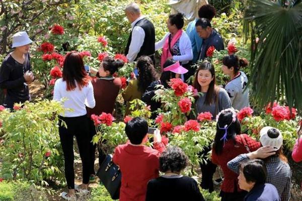 洛阳春季赏花哪里好 洛阳赏花地点排行榜