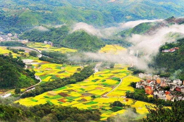 油菜花怎么拍照才好看?这位摄影师说得很清楚