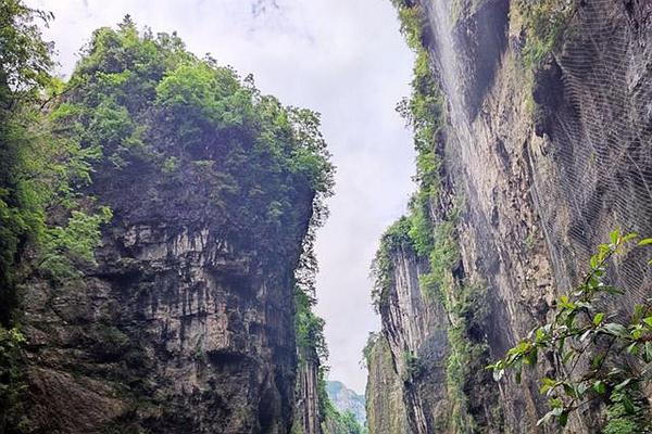 云龙地缝景区介绍 景区简介