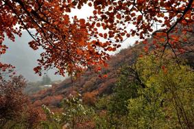 周口店幽岚山风景区