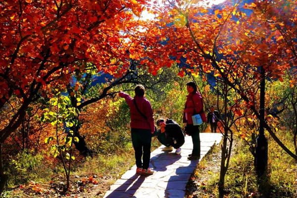 2024周口店幽岚山风景区旅游攻略-门票价格-景点信息