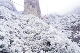 神仙居风景区赏雪攻略