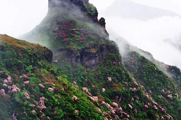 梵净山景区一年四季应该怎么玩