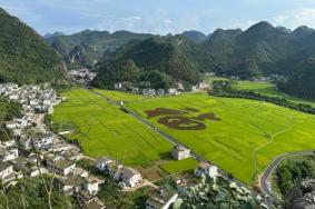 万峰林景区