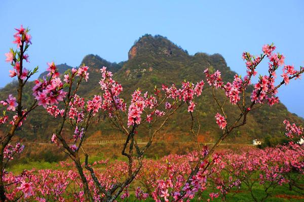 长沙周边爬山的地方有哪些