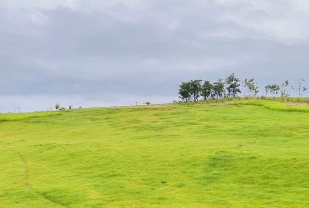 青岛燕儿岛和小麦岛哪个值得去