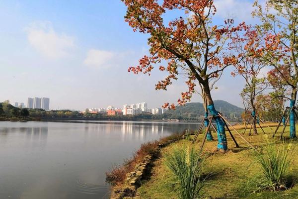 东湖绿道骑行图片 东湖绿道骑行风景图