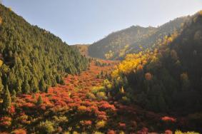 互助北山国家森林地质公园