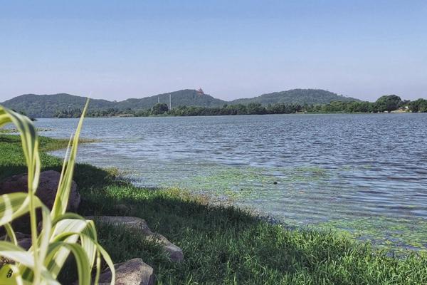 东湖绿道骑行图片 东湖绿道骑行风景图