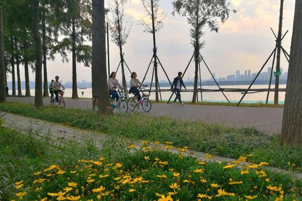 东湖绿道骑行图片 东湖绿道骑行风景图