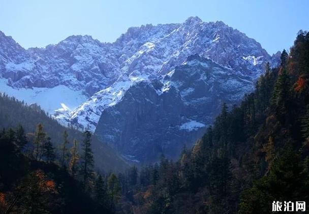 陇南宕昌官鹅沟景区图片