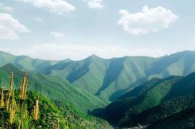 龙栖山国家级自然保护区