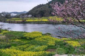 双河村