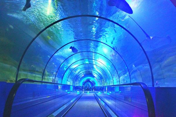 2024徐州水族展览馆游玩攻略-门票价格-景点信息