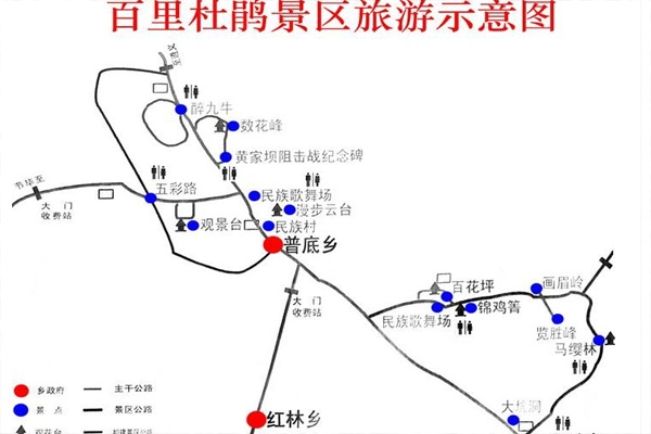 2024贵州百里杜鹃旅游攻略-门票价格-景点信息