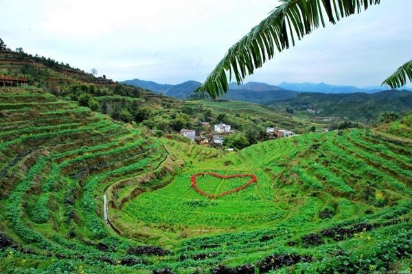 2024坪山梯田旅游攻略-门票价格-景点信息