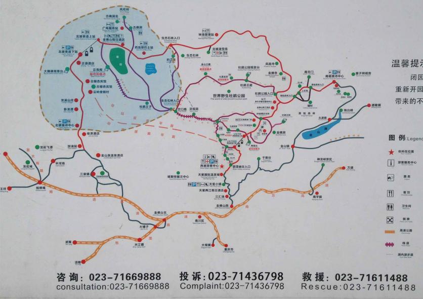 2024金佛山旅游攻略-门票价格-景点信息