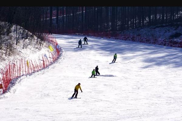 2024天桥沟滑雪场游玩攻略 - 门票价格 - 开放时间 - 简介 - 地址 - 交通 - 天气 - 电话