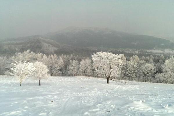 2024平山神鹿滑雪场滑雪攻略-门票价格-景点信息