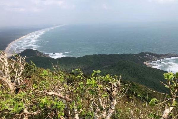 东郊椰林风景区旅游攻略-门票价格-景点信息