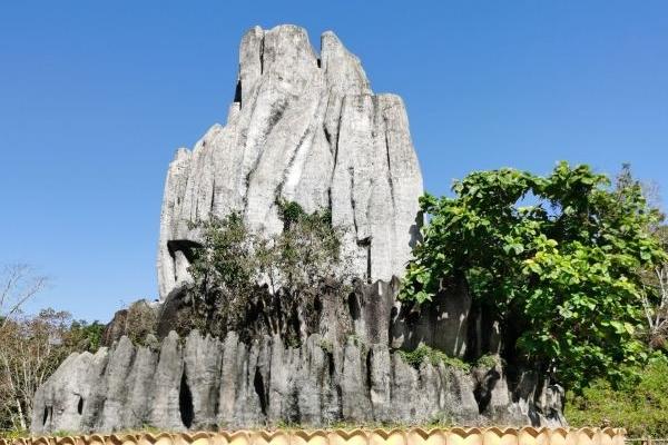 保亭常青茶溪谷旅游攻略-门票价格-景点信息