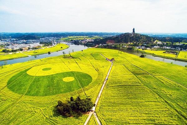 2024潼南崇龛油菜花游玩攻略-门票价格-景点信息