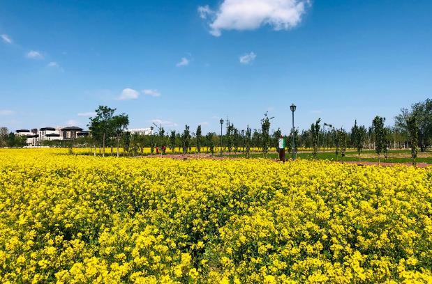 北京赏花时间一览表及地点