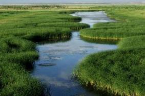 天河湾黄河湿地公园