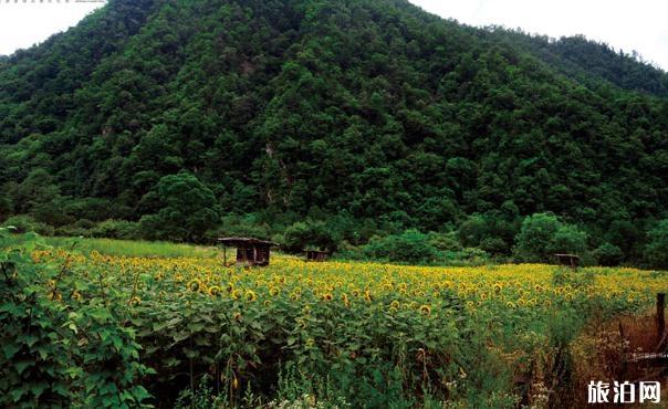 秦岭冰晶顶度假风景区旅游攻略