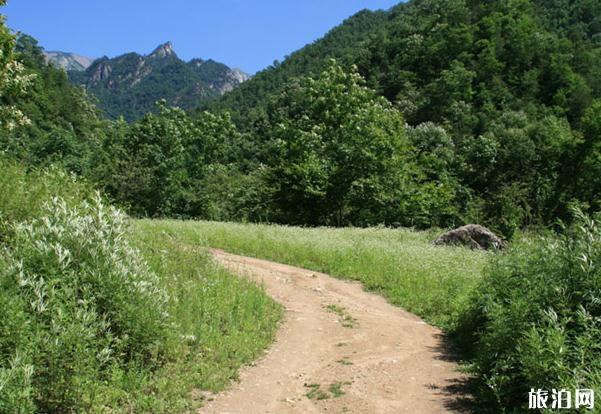 秦岭冰晶顶度假风景区旅游攻略