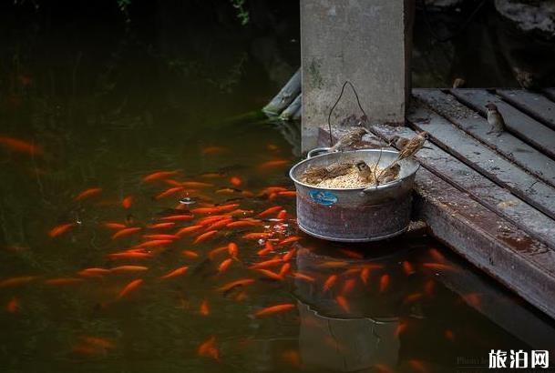 南京夫子庙瞻园美景图