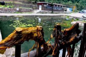 洛阳抱犊寨景区