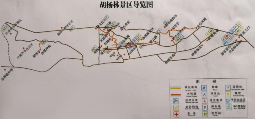 2024甘肃酒泉金塔沙漠胡杨林旅游攻略 - 门票价格 - 最佳时间 - 自驾游攻略 - 地址 - 电话 - 天气