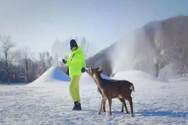 2024玉泉国际狩猎滑雪场滑雪攻略-门票价格-景点信息