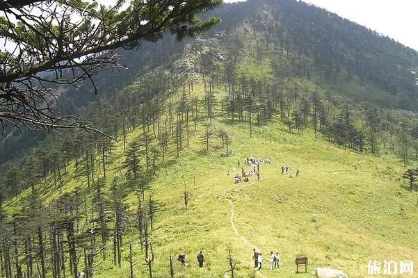 秦岭冰晶顶度假风景区旅游攻略