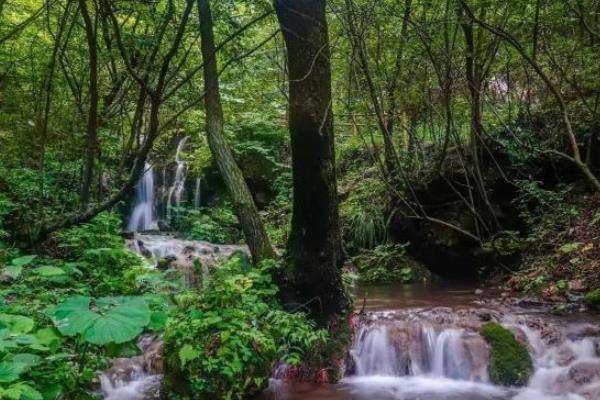 洛阳重渡沟风旅游攻略-门票价格-景点信息