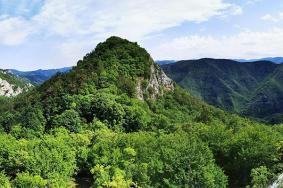 鸡冠山国家森林公园