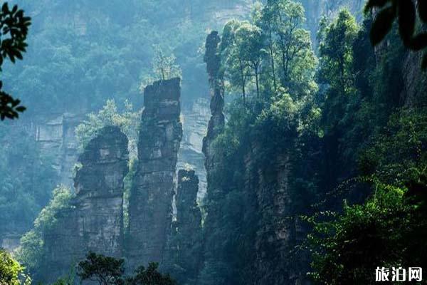 2023武陵源风景名胜区旅游攻略 - 门票价格 - 开放时间 - 景区介绍 - 简介 - 交通 - 地址 - 天气