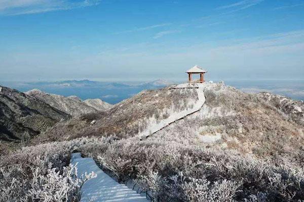 长沙冬天去哪玩比较好 观鸟、滑雪、雾凇等等都很好玩