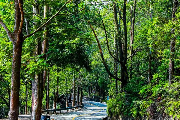 2022香港观音山旅游攻略 - 门票 - 交通 - 天气