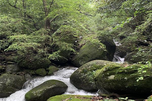 2023官山自然保护区游玩攻略 - 门票价格 - 开放时间 - 景区介绍 - 简介 - 交通 - 地址 - 天气