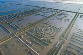 曹妃甸湿地景区