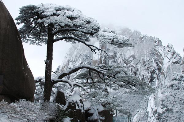 黄山风景区下雪了吗2021 黄山风景区冬天封山吗