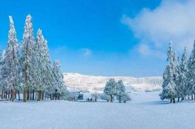 重庆下雪了吗2021年12月 重庆哪里下