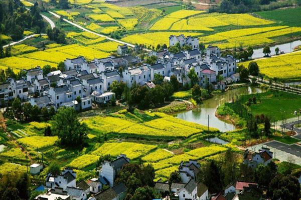 南京高淳国际慢城旅游度假区要门票吗 门票多少钱